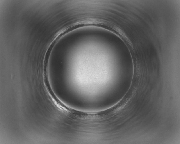 X0000053020845200507081324