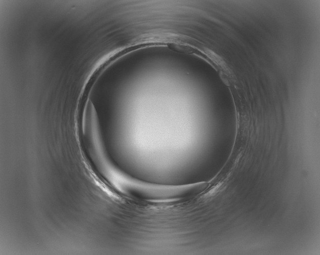 X0000053020846200507081324