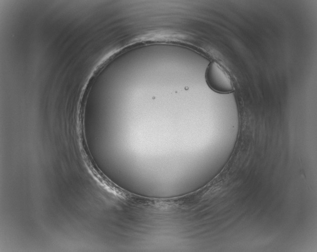 X0000053020848200507081324