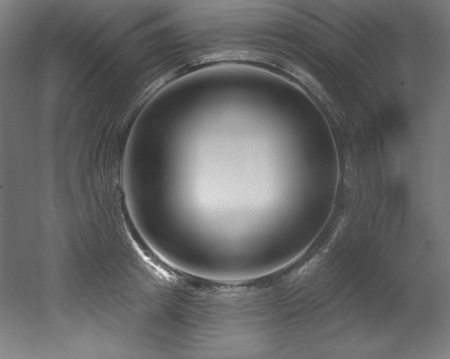 X0000053020849200507081324
