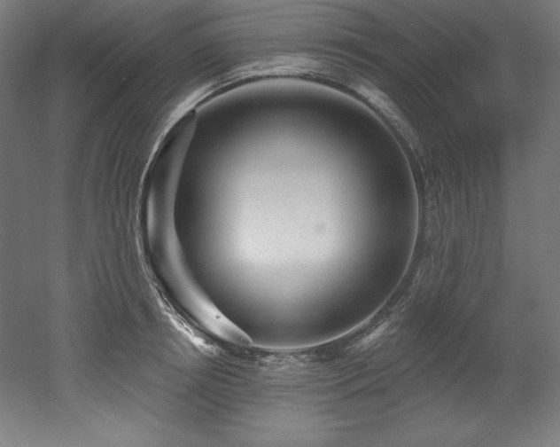 X0000053020850200507081324