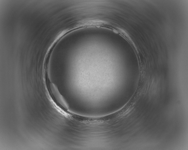 X0000053020851200507081324