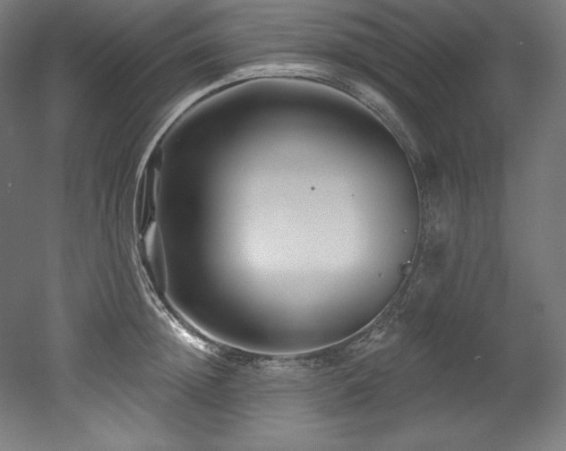 X0000053020852200507081324