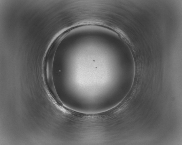 X0000053020854200507081324