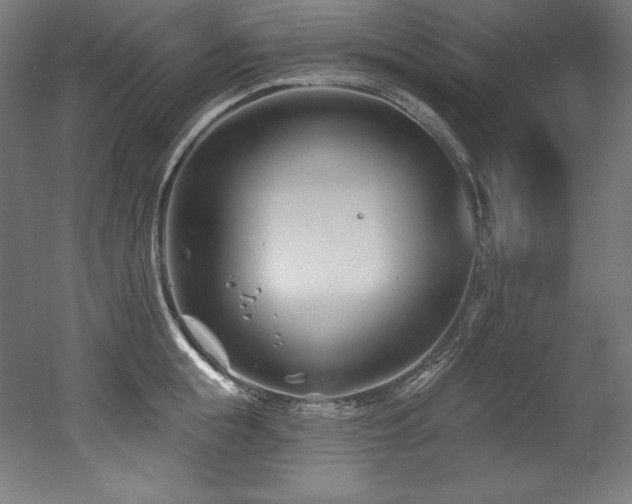 X0000053020855200507081324
