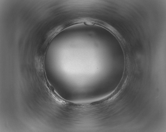 X0000053020857200507081324