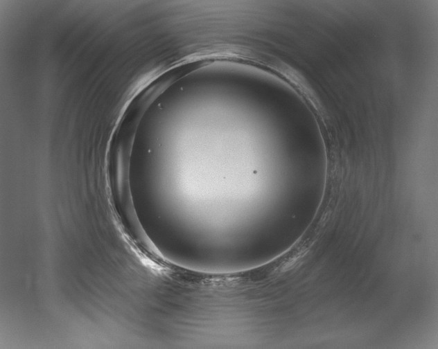 X0000053020858200507081324