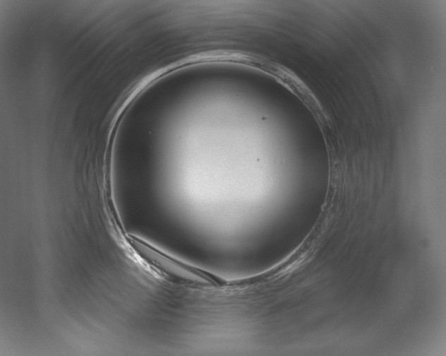 X0000053020860200507081324