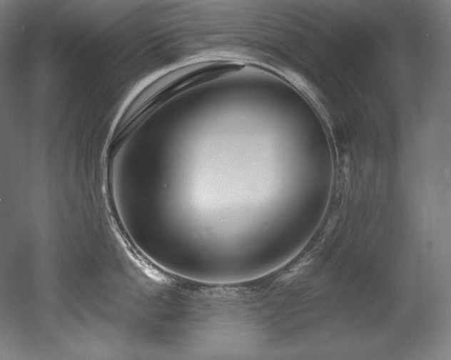 X0000053020862200507081324