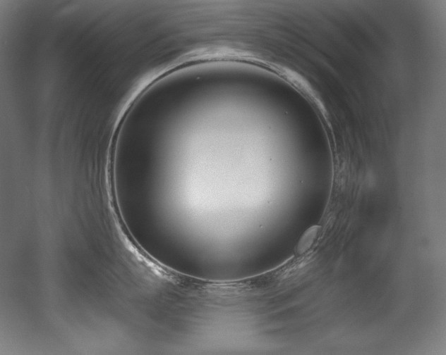 X0000053020863200507081324