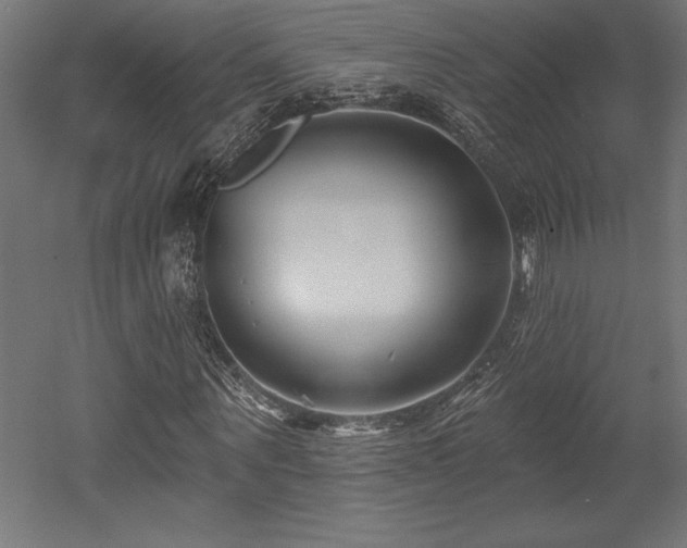 X0000053020867200507081323