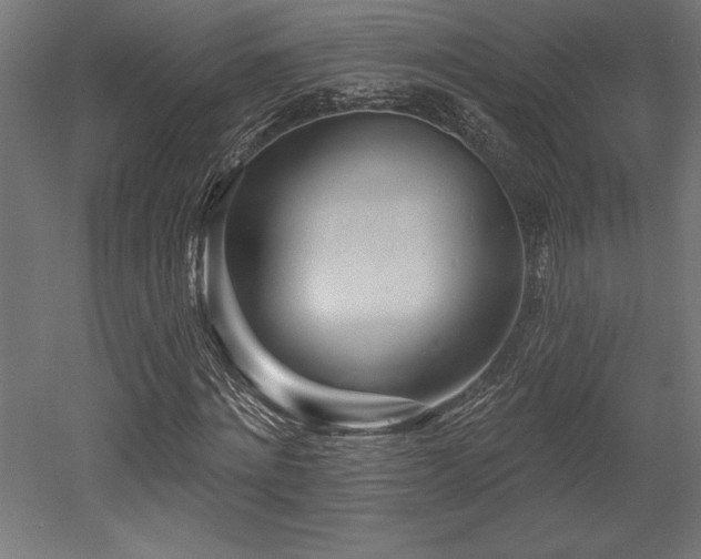 X0000053020868200507081323