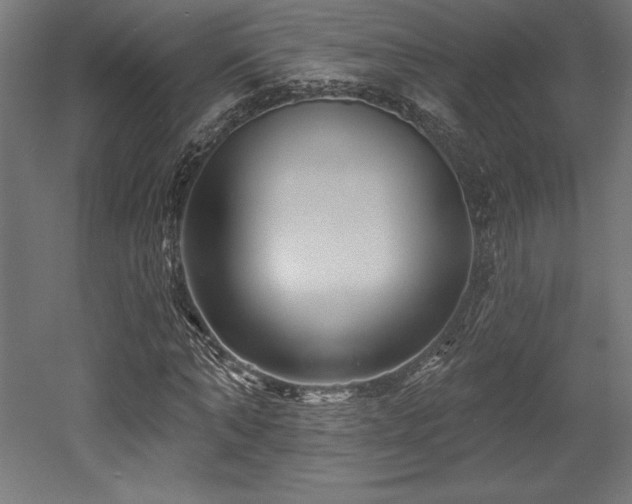 X0000053020870200507081323