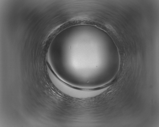 X0000053020872200507081323