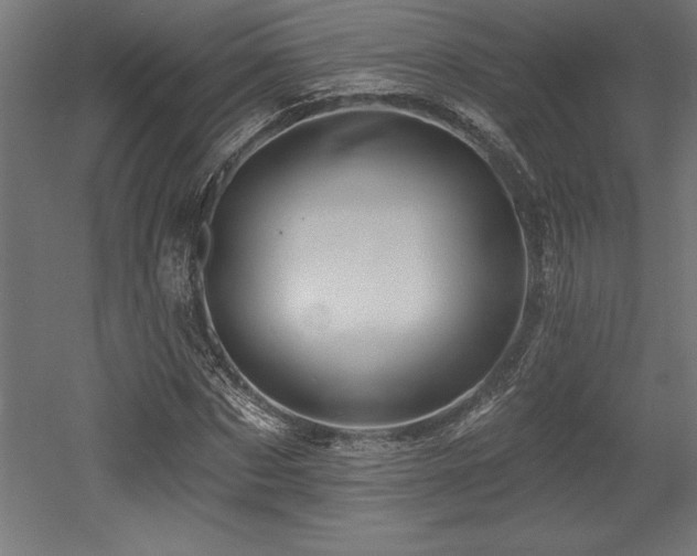 X0000053020873200507081323