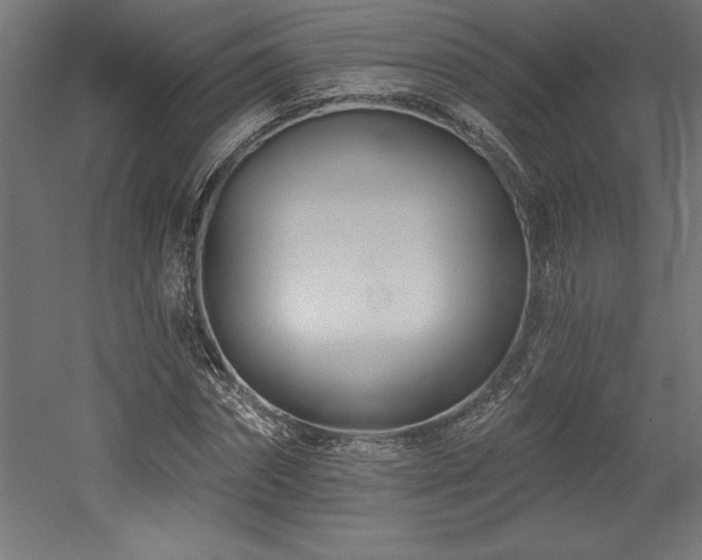 X0000053020874200507081323