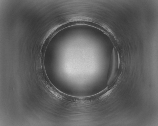 X0000053020877200507081323