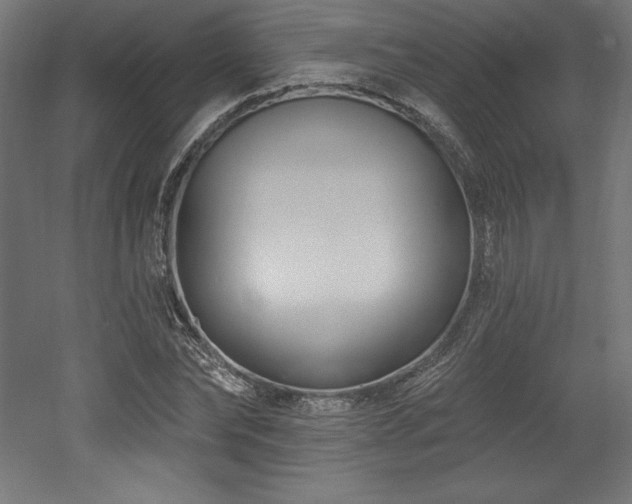 X0000053020878200507081323