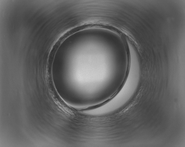 X0000053020880200507081323