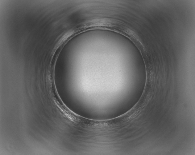 X0000053020882200507081323