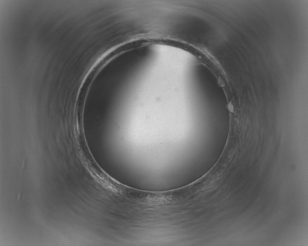 X0000053020887200507081323