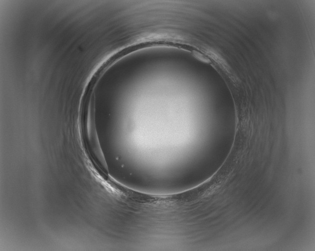 X0000053020888200507081323