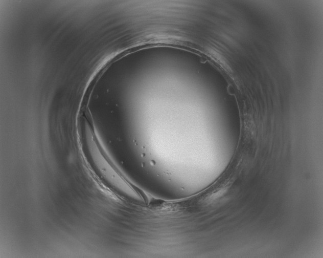X0000053020891200507081323