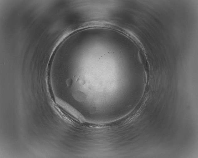 X0000053020899200507081323