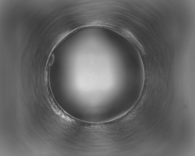 X0000053020900200507081323