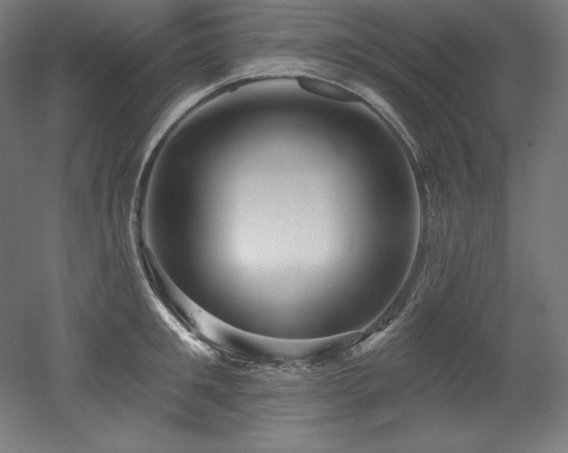 X0000053020901200507081323