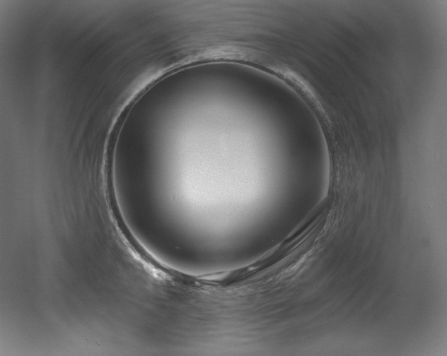 X0000053020902200507081323