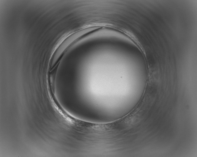 X0000053020906200507081323