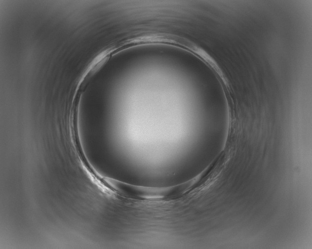 X0000053020909200507081323