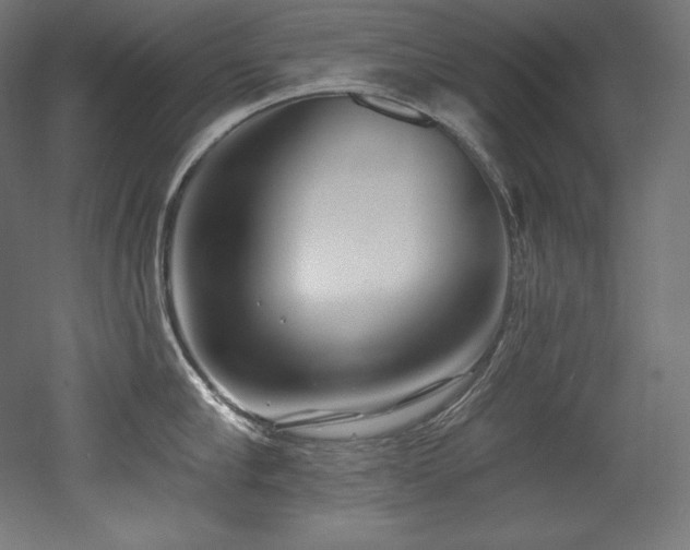 X0000053020910200507081322