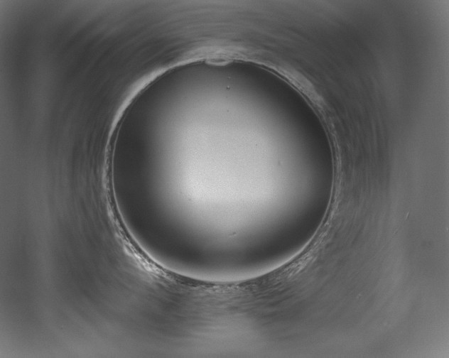 X0000053020912200507081322