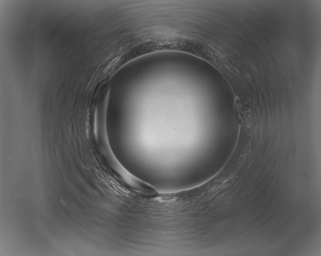 X0000053020916200507081322