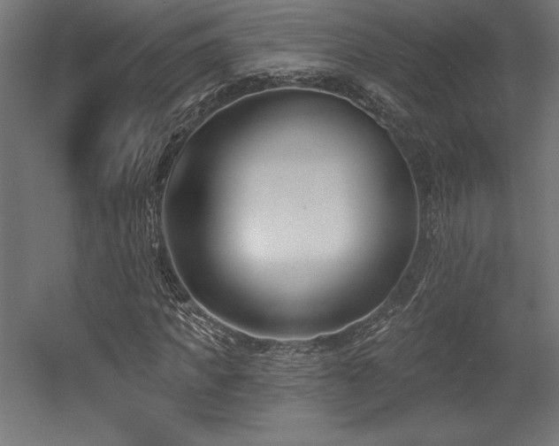 X0000053020917200507081322
