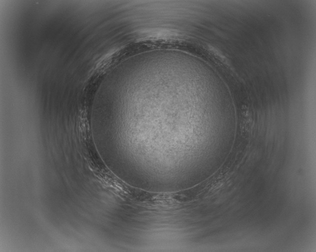 X0000053020918200507081322