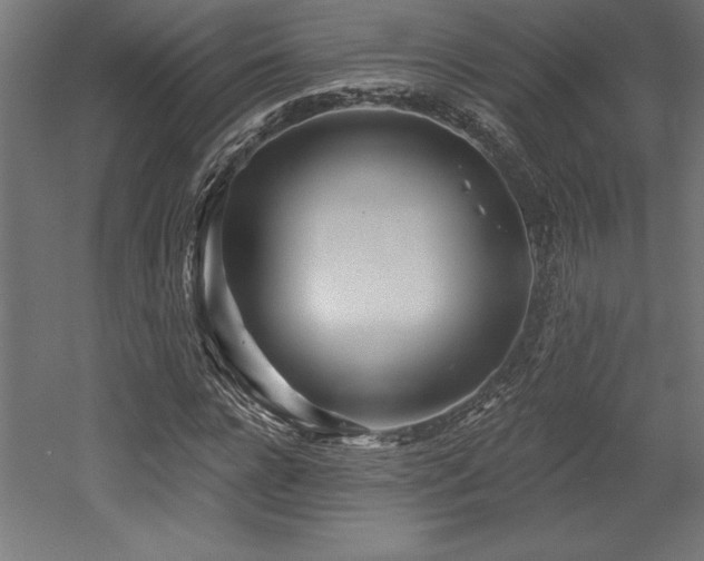X0000053020920200507081322