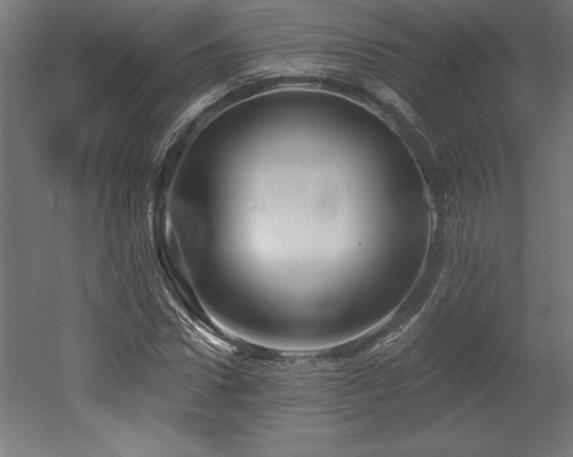X0000053020922200507081322