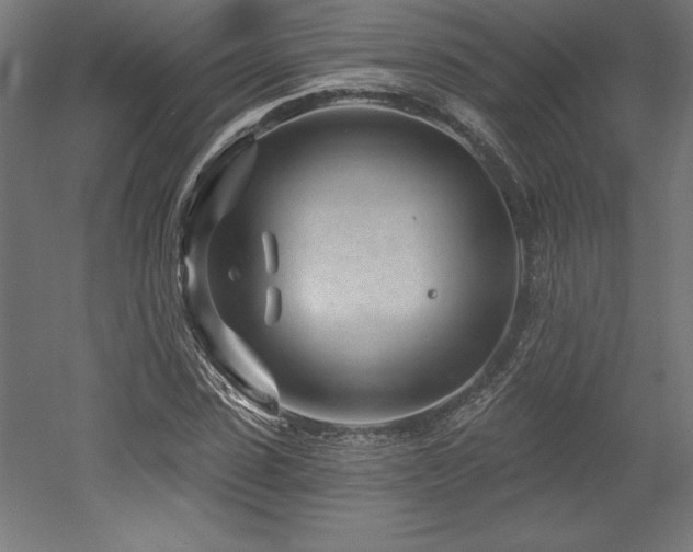X0000053020923200507081322