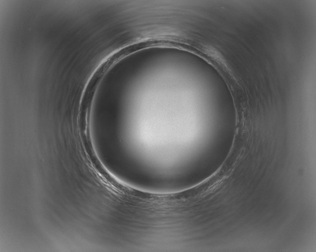 X0000053020924200507081322