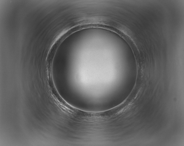 X0000053020925200507081322