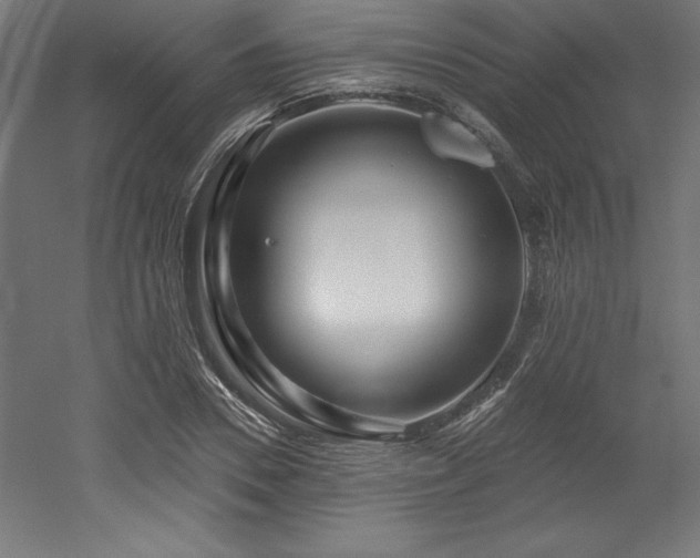 X0000053020930200507081322