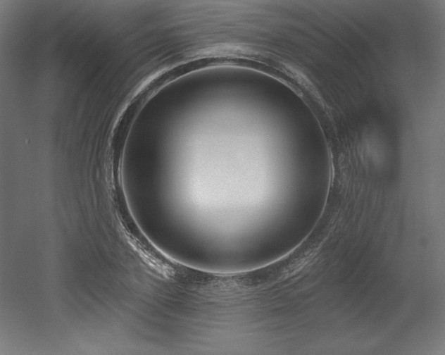 X0000053020931200507081322