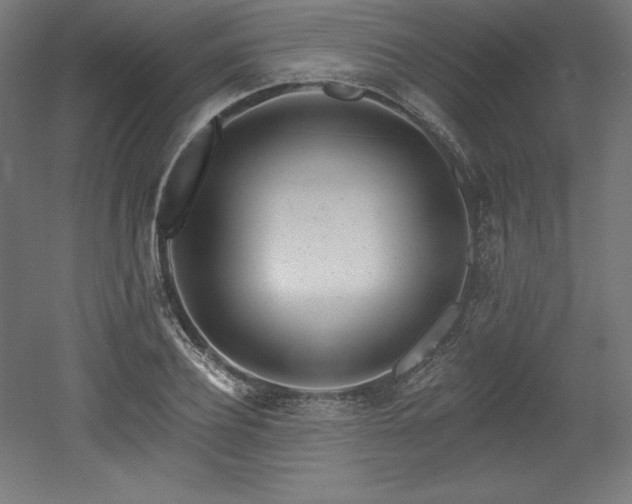 X0000053020932200507081322