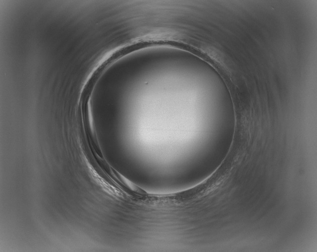 X0000053020934200507081322