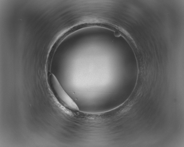X0000053020935200507081322