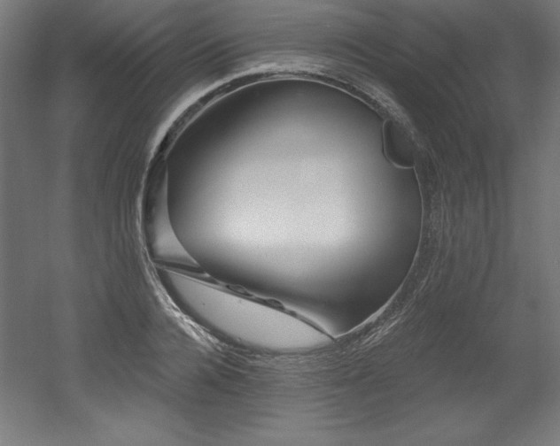 X0000053020936200507081322
