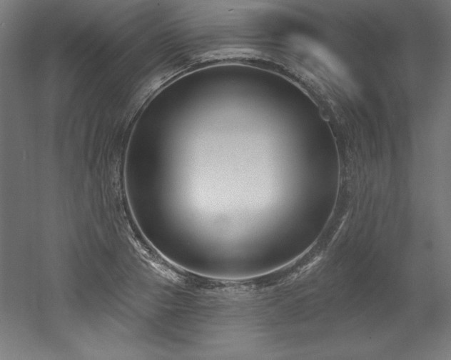 X0000053020937200507081322